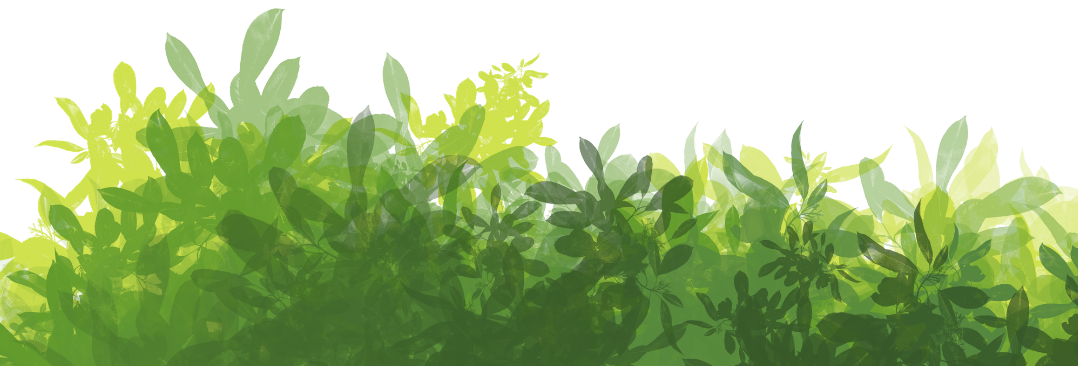 Join Our Green Committee!